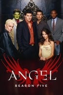 Season 5 - Angel