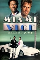 Season 5 - Miami Vice