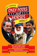 Series 7 - Only Fools and Horses