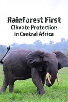 Rainforest First: Climate Protection in Central Africa